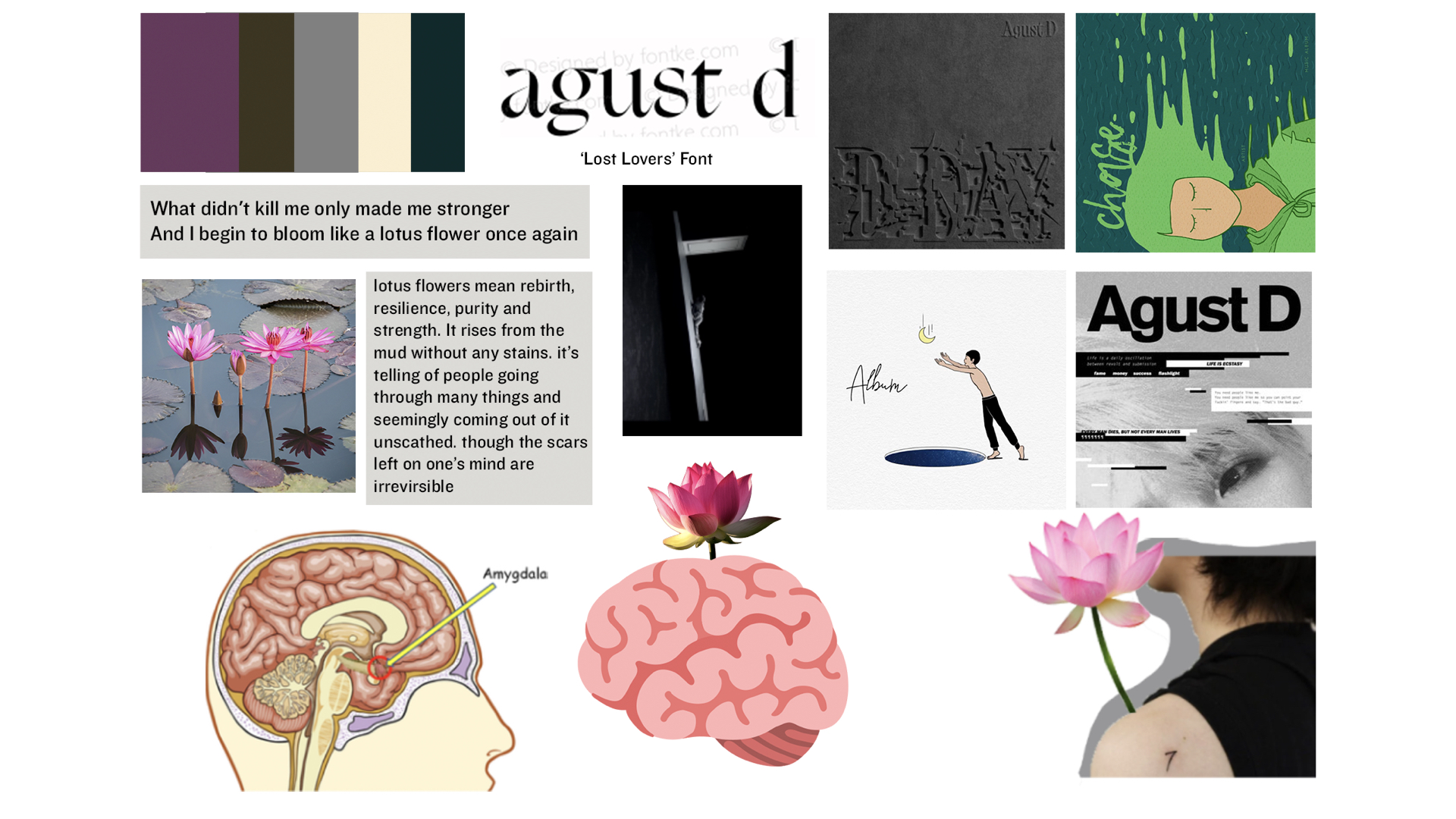 Work 5 Slide 3